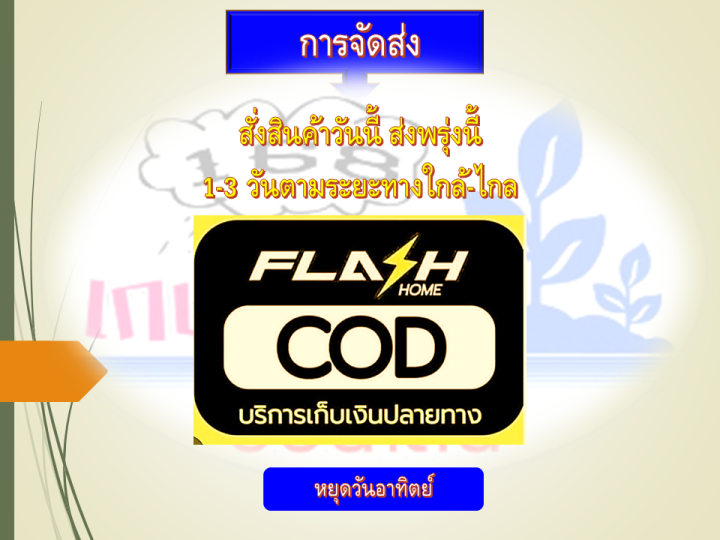 ปุ๋ยเกร็ดแนนซี่-สูตร-20-5-30-ลมเบ่ง-เร่งดอกสร้างเนื้อเสริมการเจริญเติบโตและความสมบูรณ์-ให้ลำต้น-รากและใบ-บรรจุ-1-กก-ปุ๋ยเกร็ด-ปุ๋ย