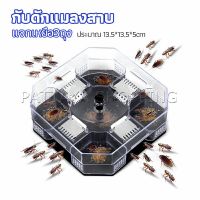 Pattaya ที่ดักแมลงสาบ ที่ดักแมลงสาบ กล่องดักแมลงสาบ  cockroach trap