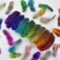 ❈♗ 20Pcs/Lot 5-10cm Pheasant Feathers Jewelry Creation Colored Feather for Needlework and Handicrafts Holiday Decorations Diy Plume