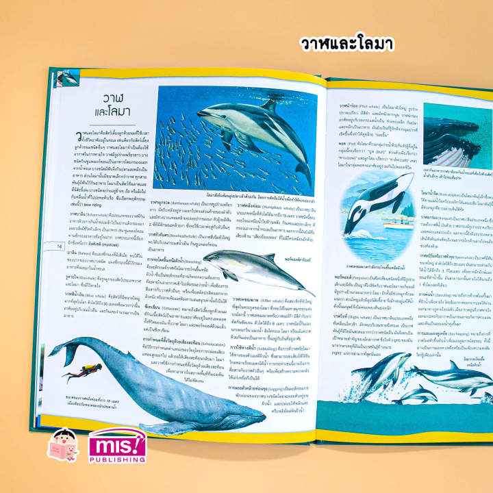 หนังสือ-สารานุกรมประกอบภาพ-มหาสมุทร