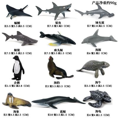 Simulation model of Marine animal childrens cognitive toy tiger dolphin whale shark fish the sea overlord suit furnishing articles
