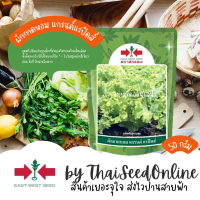 EWCOM ผักกาดหอมแกรนด์ แรปิดส์ 50กรัม ตราศรแดง Lettuce