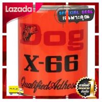 [ ถูกเว่อร์!! ช้าหมด ] DOG X-66 กาวยางอเนกประสงค์ ตราหมา 500 กรัม (1/4 กล.) กาวสำหรับติดฉนวน PE [ สินค้ามาใหม่ Gift ]