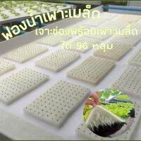 ฟองน้ำเพาะเมล็ด ปลูกพืชไฮโดรโพนิกส์ ก้อนฟองน้ำมีขนาด 1 x 1 x 1 นิ้ว 1 แผ่นมี 96 ช่อง