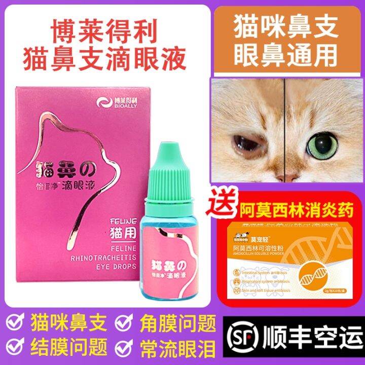 Bradley eye drops nasal drops cat nose squeak herpes calicivirus cat eye drops treatment