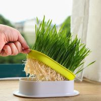 Pet Cat Sprout Dish Growing Pot Hydroponic Plant Cat Grass Germination Digestion Starter Dish Greenhouse Grow Box Pet Products Toys