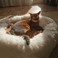 Super Soft Dog Bed Plush Cat Mat เตียงสุนัขสำหรับสุนัขขนาดใหญ่ Bed Ladors House รอบเบาะ Product Accessories