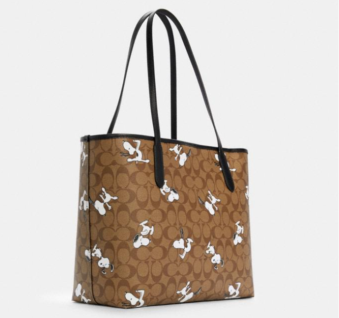 กระเป๋าผู้หญิง-coach-6160-กระเป๋าผู้หญิงไหล่กระเป๋าช้อปปิ้ง
