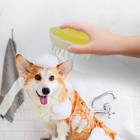 1pc Pet Massage Brush Comb Silicone Non-Slip Grooming Hair Removal Cleaning Tool for Dogs Cats