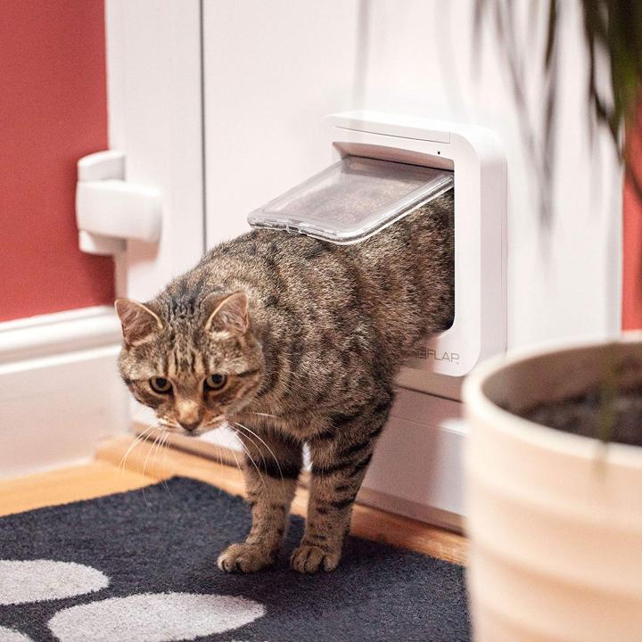 ประตูสแกนเข้า-ออก-sureflap-สำหรับติดผนัง-ใช้คู่กับ-ป้ายแท็ก-rfid-สำหรับสุนัขและแมว-5-10กิโลกรัม-microchip-cat-flap-ronghui-pet-house