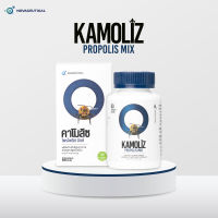 KAMOLIZ Propolis MIX Royal Jelly (นมผึ้ง) บำรุงผิวพรรณ ต้านริ้วรอย สุขภาพแข็งแรง  60 แคปซูล