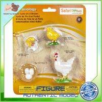 Safari : SFR662816 วงจรชีวิตไก่ Life Cycle of a Chicken Model Action Figure Cartoon แอกชั่น ฟิกเกอร์ ของเล่น ของสะสม ของเล่นเด็ก ตุ๊กตา Mamy and Buddy