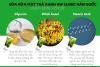 Sữa rửa mặt chiết xuất trà xanh 3w clinic green tea foam cleansing 100ml - ảnh sản phẩm 8
