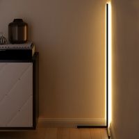 Modern Minimalism Led Floor Lamp Bedroom Corner Black Liner Floor Light Deco Indoor Lighting Led Luminarias Led Lamp Fixtures