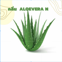 หัวน้ำหอมกลิ่่น ALOEVERA N (ว่านหาง) หัวน้ำหอมแท้100% หัวน้ำหอมใส่สบู่ หัวน้ำหอมใส่ครีม ใส่โลชั่น ขนาด30ML-100ML