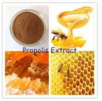 Propolis Extract สาร สกัด ผงจากรังผึ้ง ขนาด 20 g.  007620