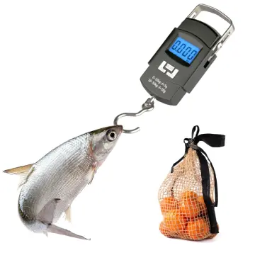 Digital Scale for Fishing Luggage Travel Weighting Steelyard Hanging Hook  Electronic Scales Kitchen Food Weight Tool