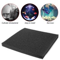 【CW】 Outdoor Tool Universal Black Filtration Foam Aquarium Fish Tank Biochemical Filter Sponge Pad Lightweight And Softness Design