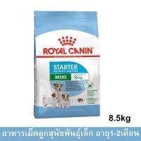 Royal Canin Mini Starter [8.5kg] รอยัล คานิน อาหารลูกสุนัขพันธุ์เล็ก อายุ1-2เดือน และแม่สุนัขตั้งท้อง