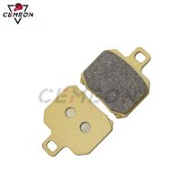 For DUCATI Multistrada S 1000 DS DS1000/1100/1100S Hypermotard 1100/1100S Superleggera 1199/1299 Motorcycle Rear Brake Pads