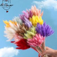 【CC】 60pcs Real Floral Dried Flowers Tail Mixed Bouquet Colorful Lagurus Ovatus for Photo Props Decoration