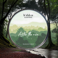 HIDDEN.SCENTED(ซ่อนกลิ่น) - เทียนหอม 4 กลิ่น 4 สไตล์