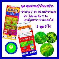 ชุด คุมฆ่าหญ้าในนาข้าว กำจัดหญ้า เน้นหญ้าข้าวนก ฮาเวส ขนาด 1 ลิตร+ ควินคลอแรก 250 กรัม+จับใบ 100cc กำจัดหญ้าในนาข้าว 1 ชุด ฉีดได้ 5 ไร่