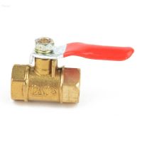 Dharma 14 PT Female to Female Thread ss Ball Valve Lever Handle Full Port Valve