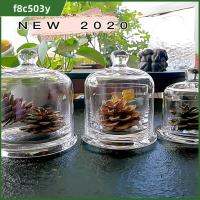 F8C503Y 8สี โถเก็บแก้ว กระจกสำหรับผู้หญิง อาหารพืชจัดแสดง ฝาครอบแก้วเทียนหอม การทำ DIY ดอกไม้ชีวิตนิรันดร์ โถกันฝุ่น ของตกแต่งห้องนอน