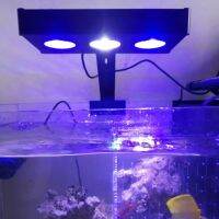 [GOODSHOP] LED ไฟตู้ปลาไฟตกแต่งตู้ปลาพร้อมรีโมทคอนโทรลสำหรับ Coral Reef US Plug