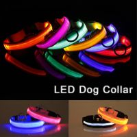 LED Dog Collars Light USB Rechargeable Adjustable Flashing Luminous Collar Night Anti-Lost For Dogs Night Safety Glowing Collar