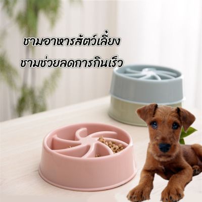 พร้อมส่งจ้า ชามอาหารสัตว์เลี้ยง ชามอาหารแมว อุปกรณ์ให้อาหารสัตว์ ช่วยชะลอการกินไวสำหรับน้องๆ สินค้าจัดส่งจากไทย