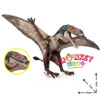 Monkey Toys - โมเดล ไดโนเสาร์ Dimorphodon ขนาด 15.00 CM (จากหาดใหญ่)