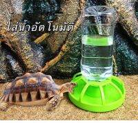 ถาดให้น้ำสำหรับเต่าบก ใส่น้ำอัตโนมัติ 250ML