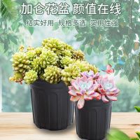 Spot parcel post Special Offer Flower Pot Wholesale Creme Cassis G. B Plastic Flower Pot Gallon Flower Pot Balcony Flower Pot Chinese Rose Rose Green Radish Chlorophytum Pot