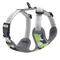 ▩☄ Size Harness Corgi Puppy