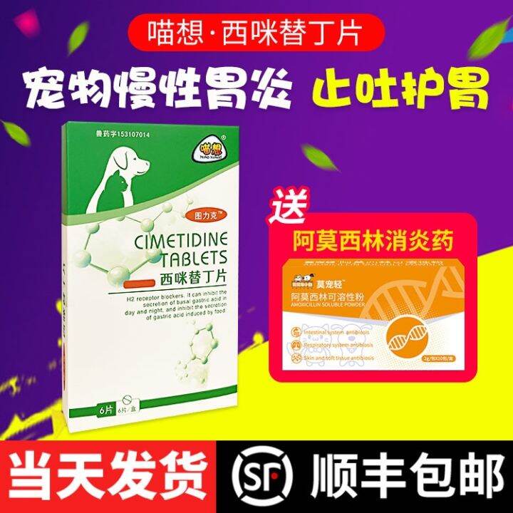 Cats and dogs vomit yellow water pet chronic gastritis cat vomiting