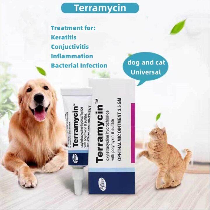 Ophthalmic Ointment Conjunctiva Terramycin 3.5g For Dog / Cat For Pets ...