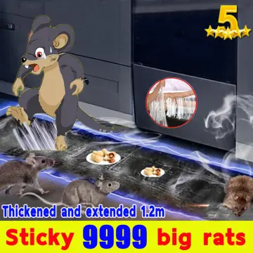 Large Size Mice Mouse Rodent Catcher Rat MouseTraps Indoor Super