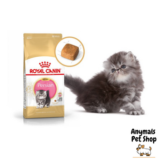 royal-canin-kitten-persia-4-kgs-โรยัลคานิน-สูตร-ลูกแมวเปอร์เซีย-4-กิโลกรัม