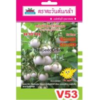 ซฟ มะเขือตอแหลนาธาน ซอง 10฿ เมล็ดพันธุ์ตราตะวันต้นกล้า