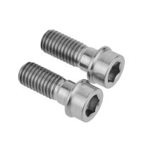 Xingxi 2Pcs M10 x 25mm 1.5mm Pitch M10x25mm 1.25mm Pitch Motorcycle Titanium Ti Bolts Screw For Ducati Bike Brake Cycling Bolt