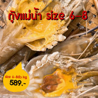 กุ้งแม่น้ำ 6-8 ตัวโล 1กิโลกรัม  River prawn 6-8 pc/kg 1kg/box nw90%