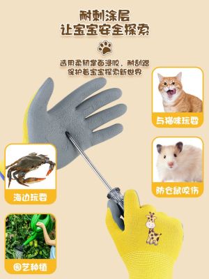 High-end Original Pet anti-bite gloves hamster anti-scratch novice children special for playing with parrots rabbits children catching sea gloves