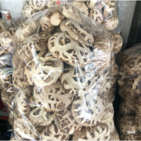 เห็ดหอมญี่ปุ่น大白花菇Japanese shiitake mushrooms500g