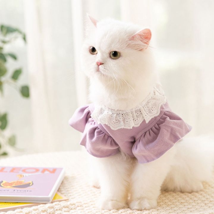 เสื้อหมา-เสื้อแมว-sweet-pet-shirt-เสื้อสุนัข-เสื้อผ้าสัตว์เลี้ยง-เสื้อผ้าแมว-ลายน่ารัก-เสื้อผ้าแมวยกโหล