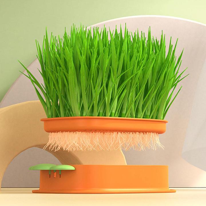 cat-grass-planter-box-cartoon-carrot-hydroponic-cat-grass-box-p5f5