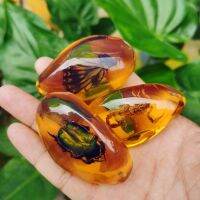 1PC Originality Scorpions Butterfly Bee Crab Decorations DIY Crafts Gift Fashion Natural Insects Amber Gemstone Ornament