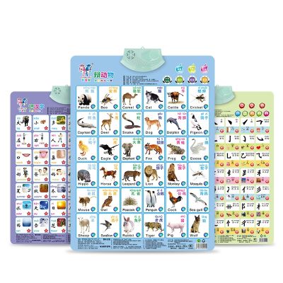 Children pinyin audio chart learning Chinese artifact initials final card first grade spelling alphabet wall stickers