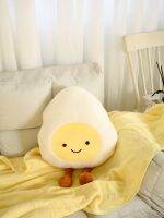 Web Celebrity Office Nap Back Egg Egg King Quilt And Pillow Pillows Folding Blankets In One Gift 【AUG】